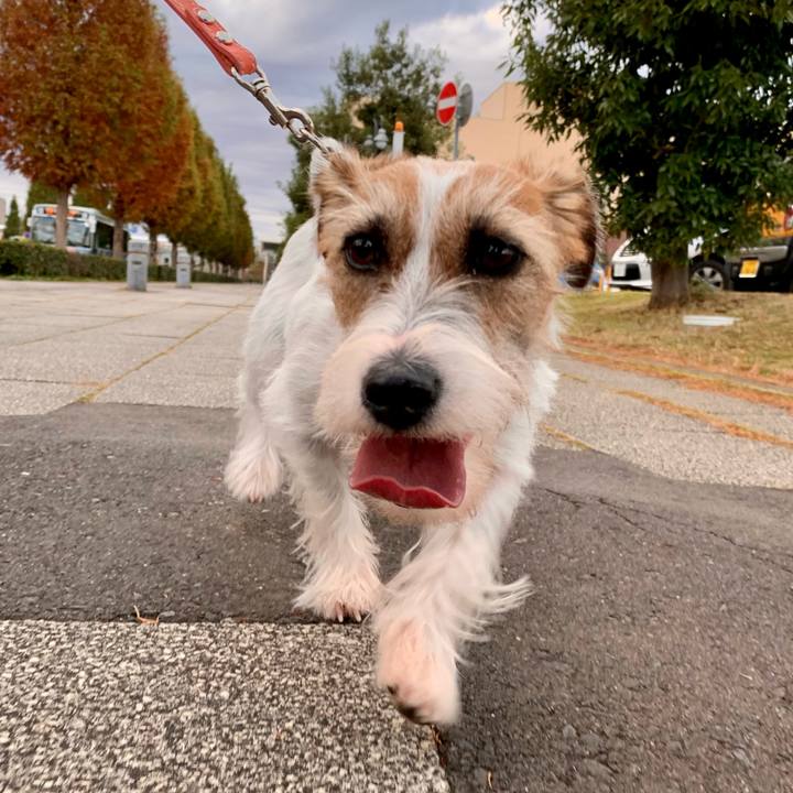 D7349b81 dd73 458b acae d18cce96c21c 1606126094704