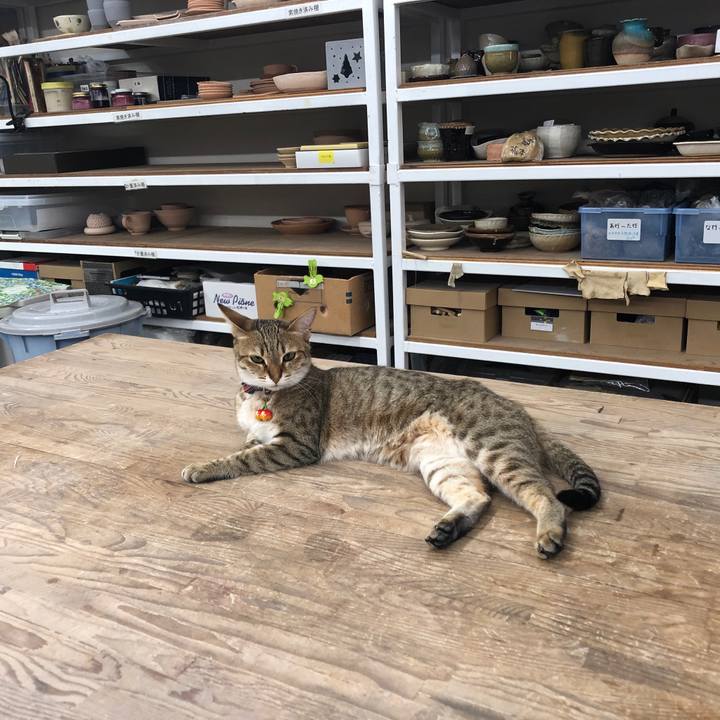 D734a03a 8ad0 4cf5 bc17 a358b0bd6a33 1654589021557