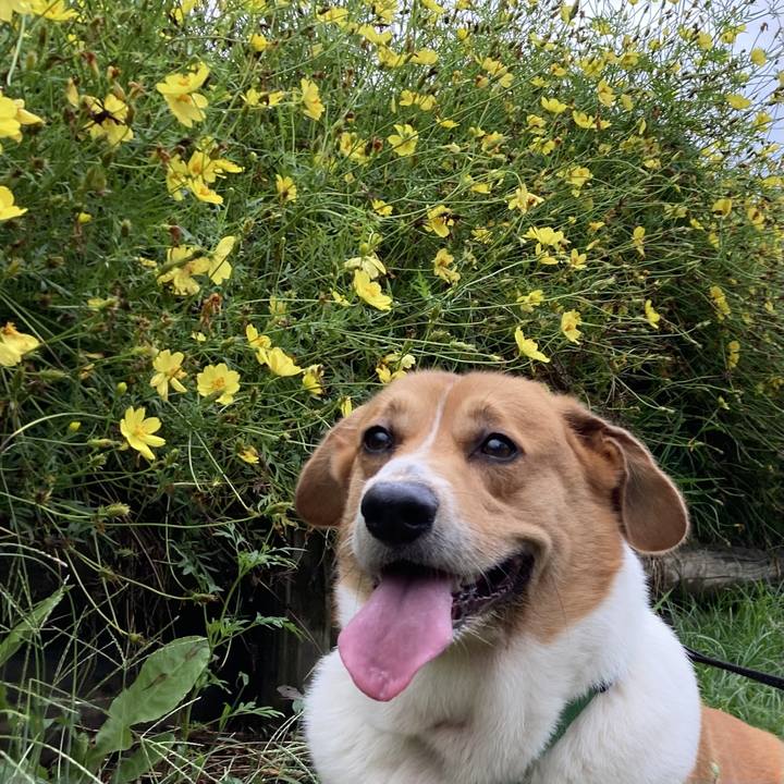 D734be6b 3dff 42c4 8668 7a4ba9c78401 1727572035385