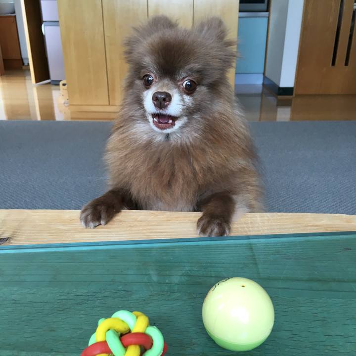 D734e0fb 9048 4132 a060 27557e19cfaf 1520481131755