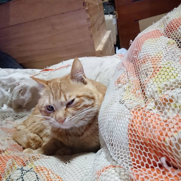 D73522fa d5ba 4746 b36a 4b0b305e7dc9 1649624233210