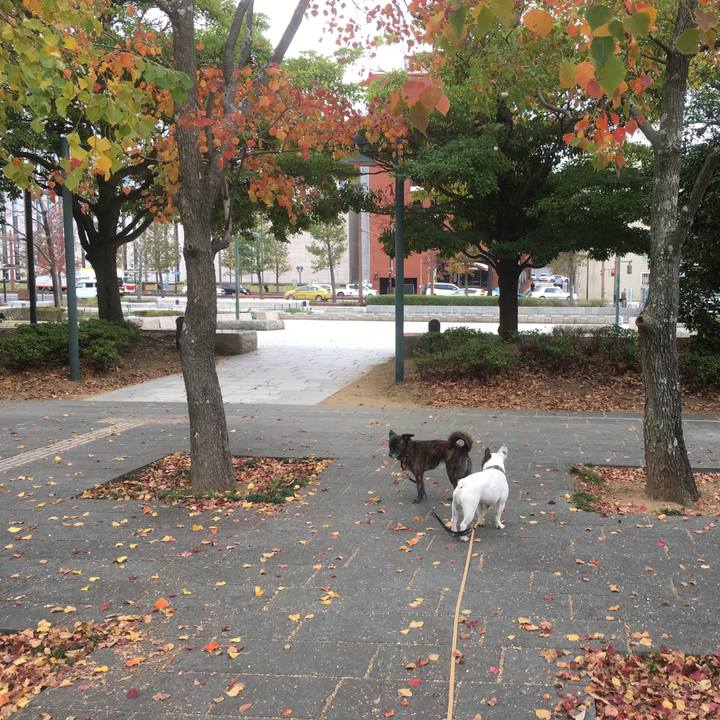 D7356b78 9a66 4a80 bd93 45df3f0b73b1 1542550830915