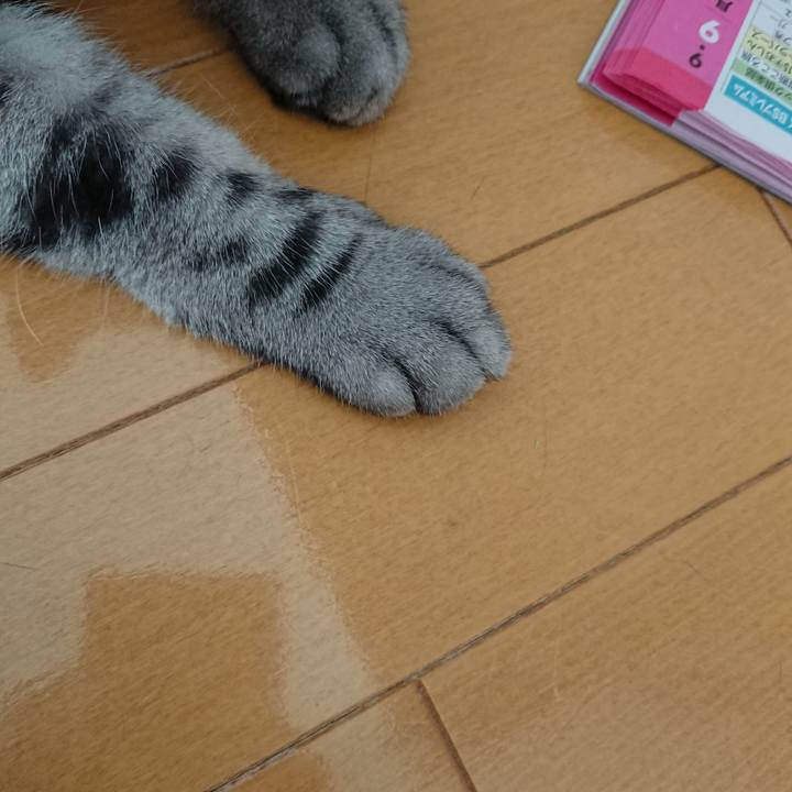 D7356dae f88a 46dc a4a4 cec23ffb1c82 1568006756233