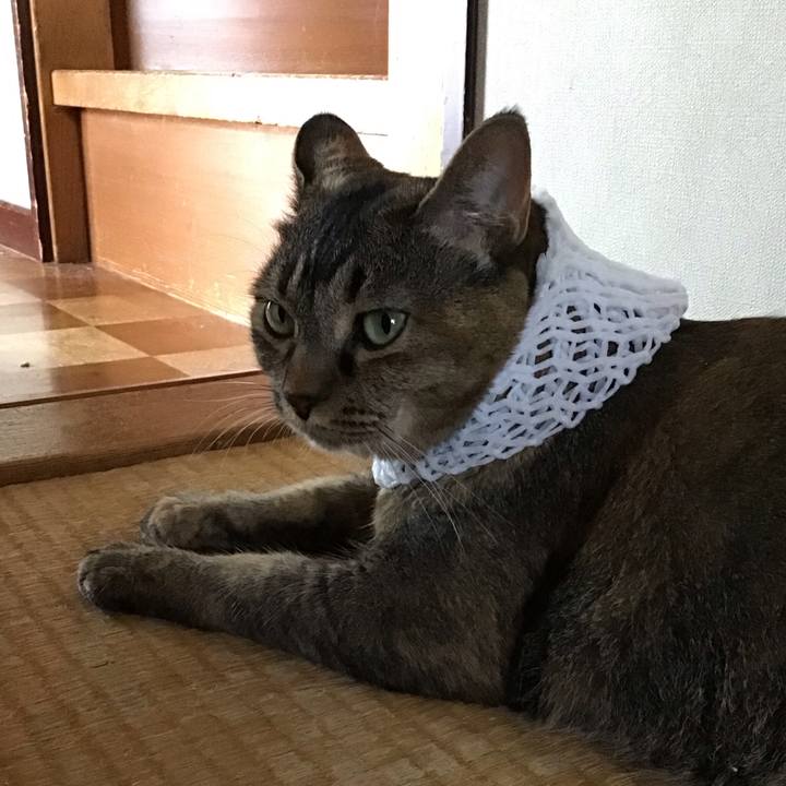 D736199b fde3 4fad 801a e2259c1336ac 1753780309016