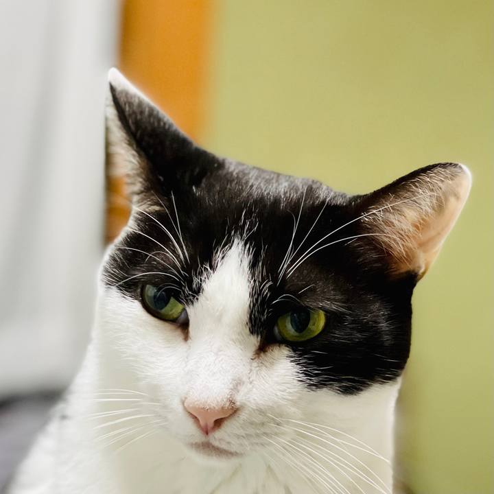 D7361dc8 1a5a 426a 8b1b 22cb22ea0751 1604109799085