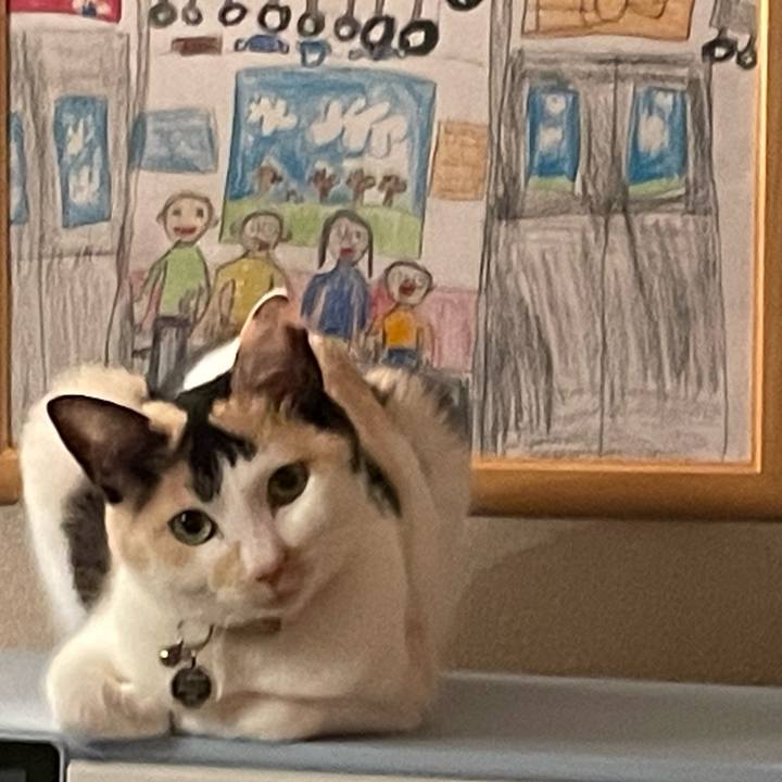 D7364d26 5262 4111 8f53 acb927b9227d 1706363889510