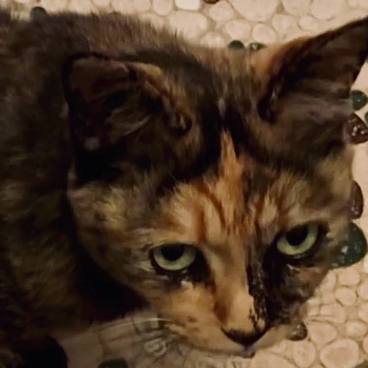 D7365c3f b20a 44ff 9e9a bdd10c690a03 1752266442751