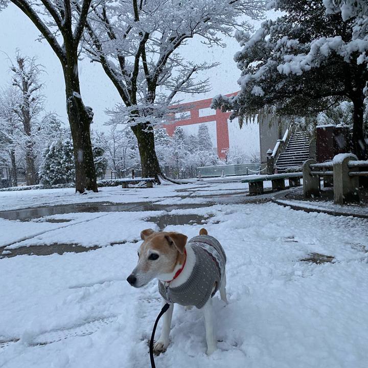 D73667a8 1573 48b9 af2f 61d500416990 1642722112513