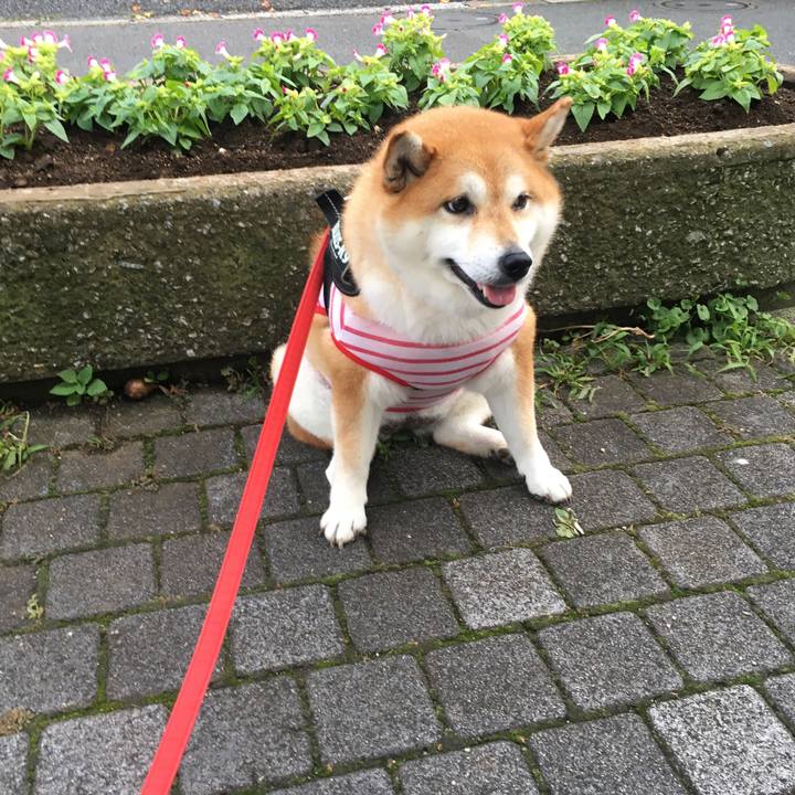 D7367945 558e 4ed1 a03d f7ebb3bbfcc7 1594376196819