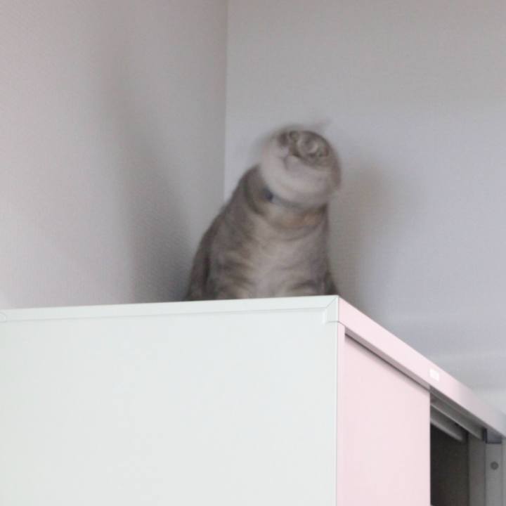 D7370c4b b62b 4e0b beae bbcea4c205c1 1599795294353