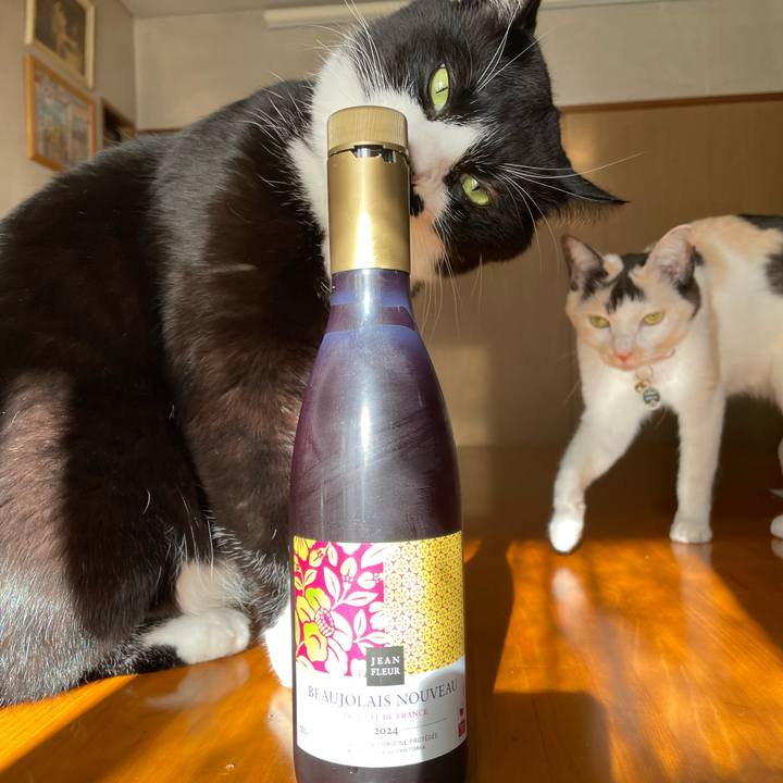 D73748af 6ea9 4084 ba10 ecc7c9c39fce 1732233741738