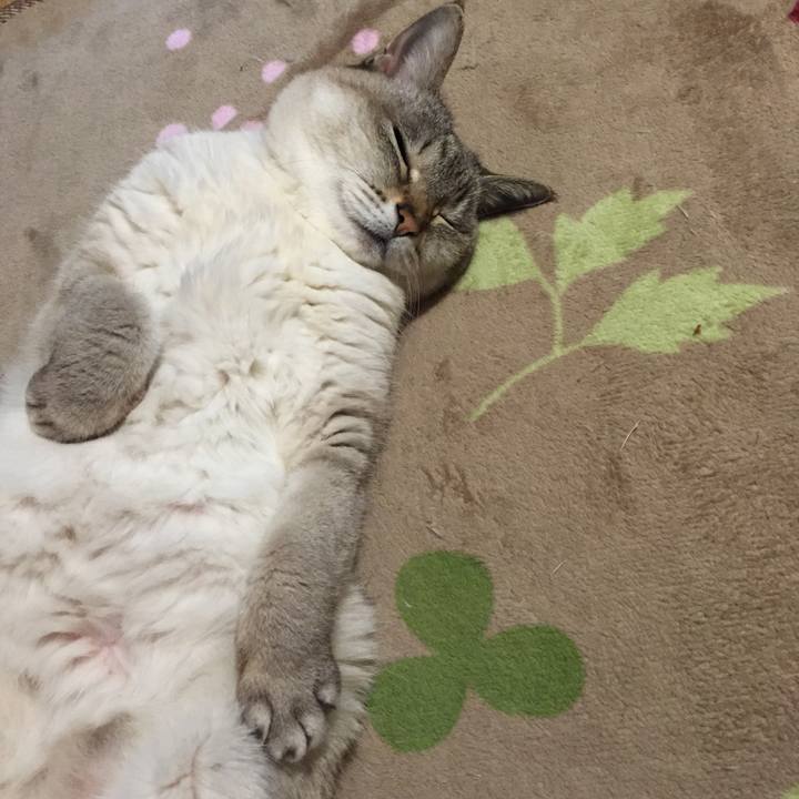 D7375d25 e4a3 498c a226 d6e45c9c25ae 1550573499507