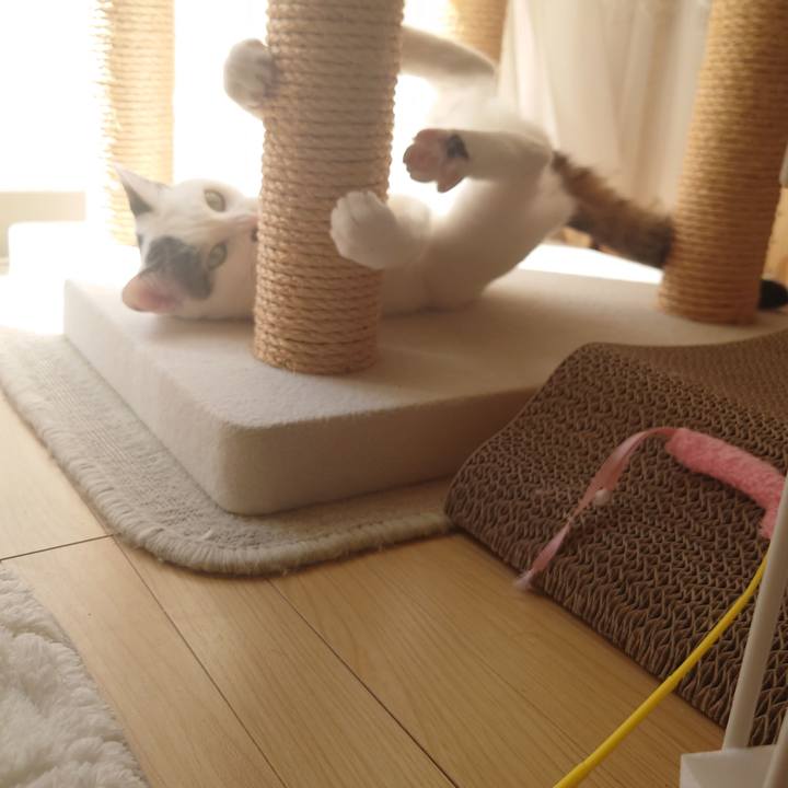 D737749f 7a0c 4ddc a954 75744ef59368 1697771063834