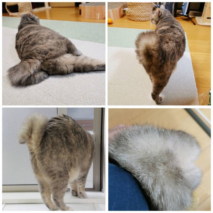 D7378108 2694 48e5 9579 e263d544d25d 1640160122011