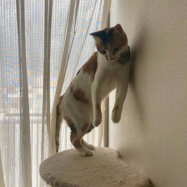 D7378ee8 c296 4171 a521 5d3d159dbf5c 1598830854131