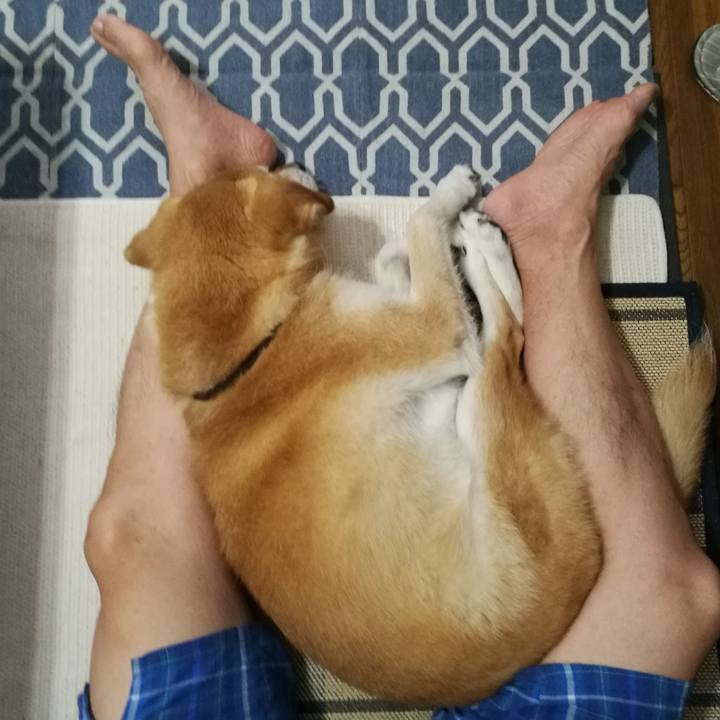 D73796e9 1e08 4783 a08a 99ef8bf1a7b7 1528936331551