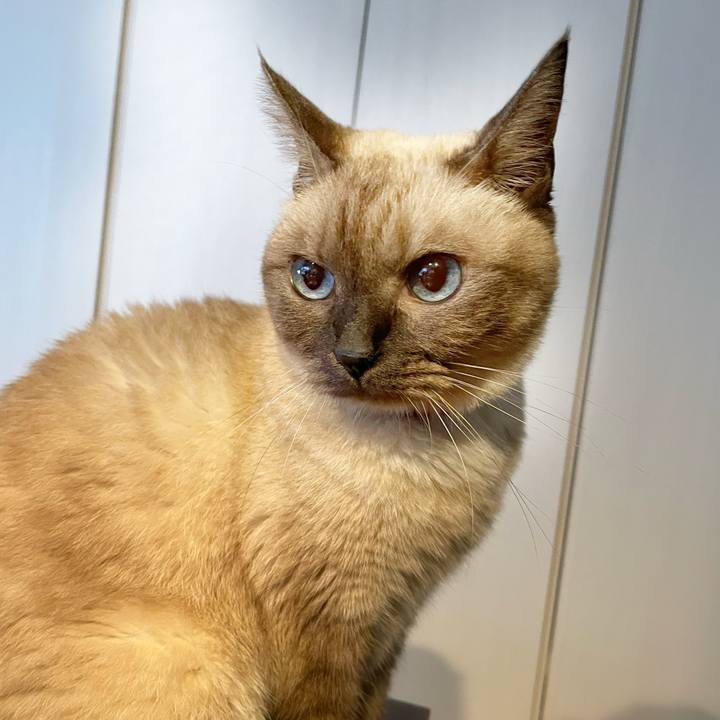 D7379d01 d83d 4ed9 afde 6e3711684683 1761996490015