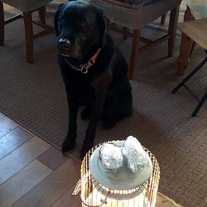 D737b7da 29a0 419f ab05 799a9149676a 1691807659407