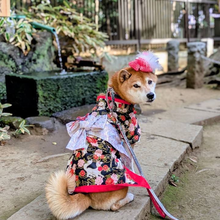 D737d49e 24c1 4b0e a025 eb9624a70a7c 1763977471960