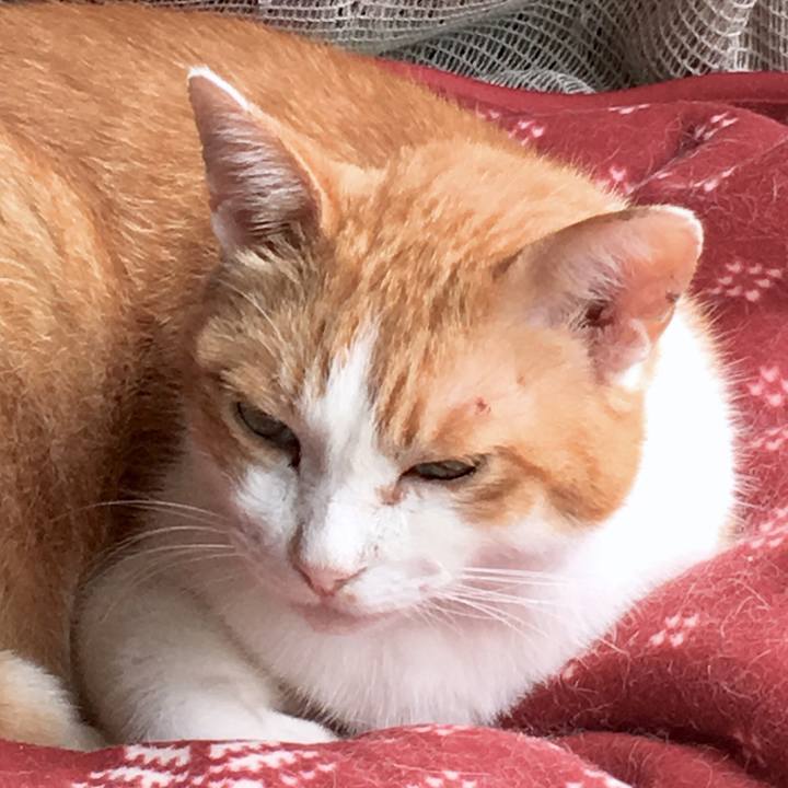 D737e466 a67a 4914 b5cb 5aa9db94d9be 1566198982890