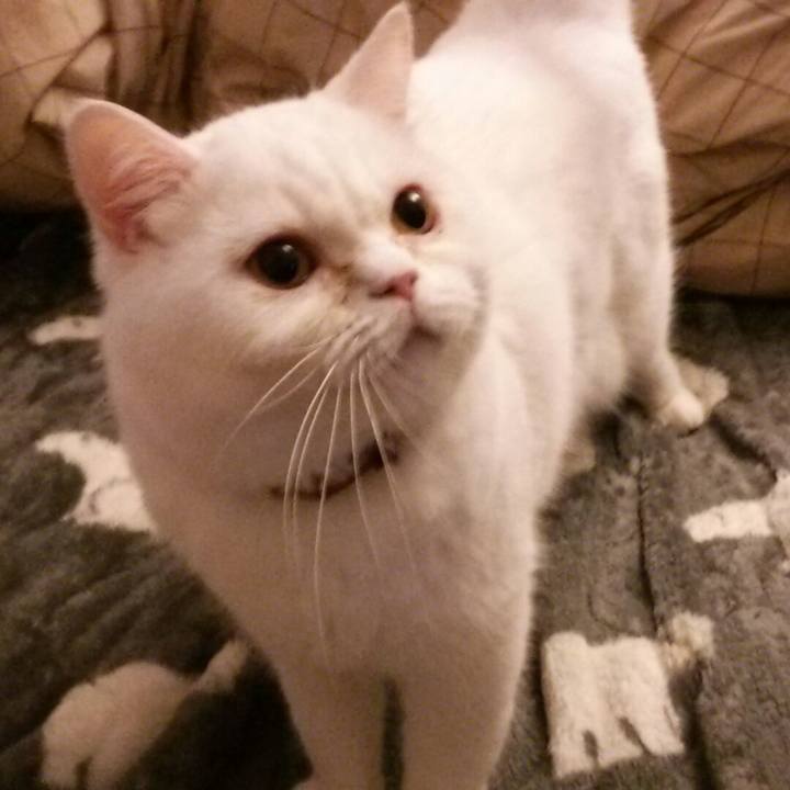 D737ee7b 80ed 46ab 8952 3bf1a288a6cd 1522241037275