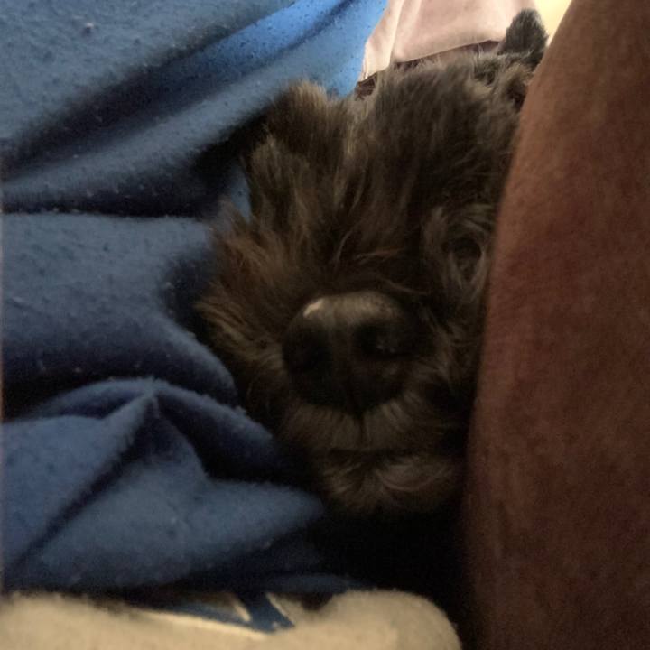 D737f6ee 2bda 4708 a149 edf705a1991a 1607383284369