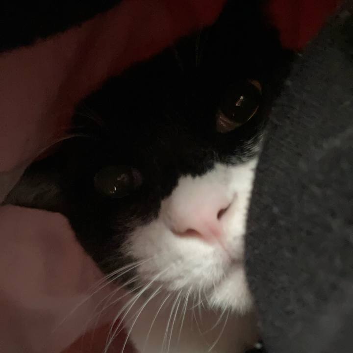 D7382faf d6ba 4235 97e9 b61527e8d18b 1638331300042