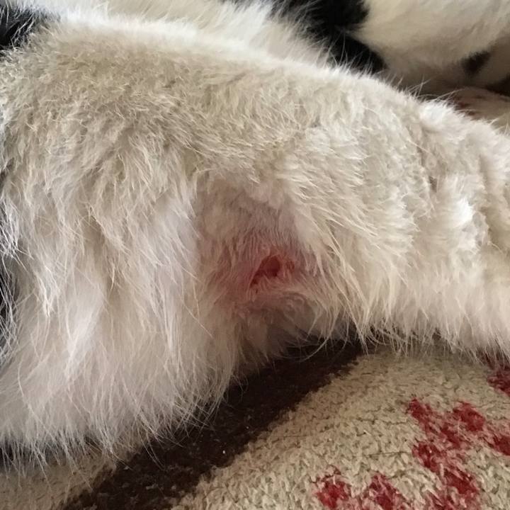 D738308c bc6d 4906 865c bc19607819f4 1714289481347