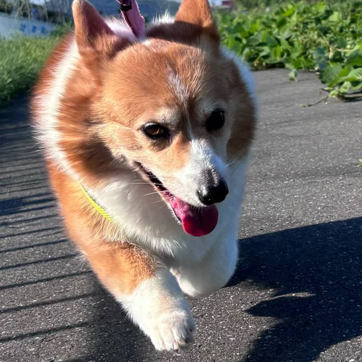 D7385460 1d0a 4931 adb9 25925ff52199 1755558439370