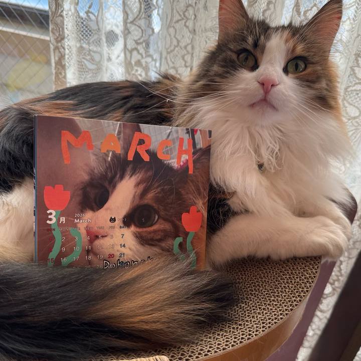 D738761a 332e 4212 ad17 b7a9c44aacf3 1772414773951