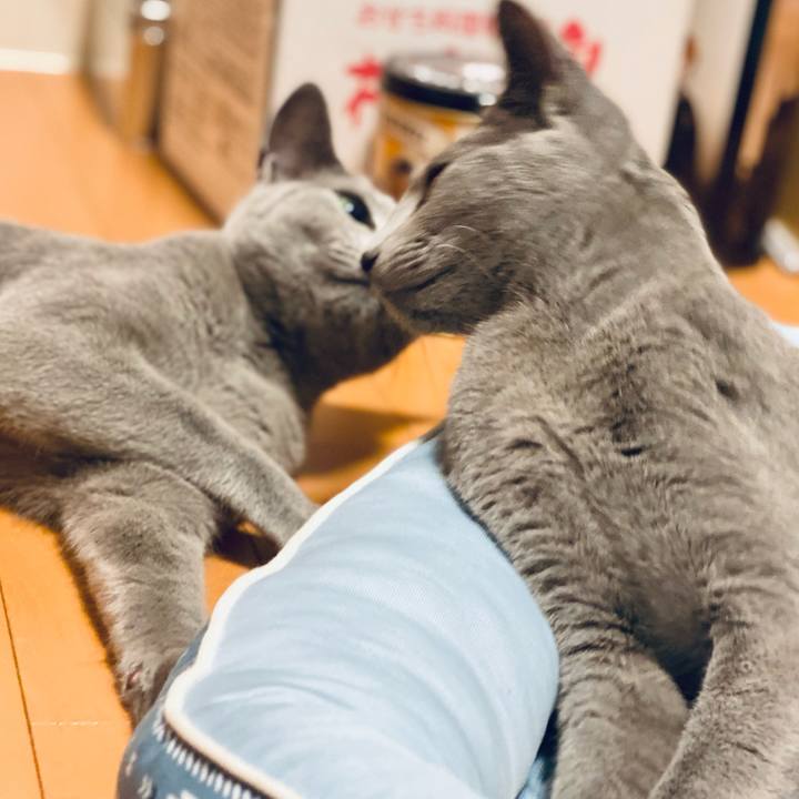 D7388f97 4206 4816 80eb 9dba169e357a 1622727294393