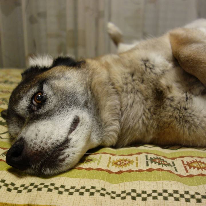 D738ed3a 3c68 4320 a750 7e57c167b75e 1634948692553