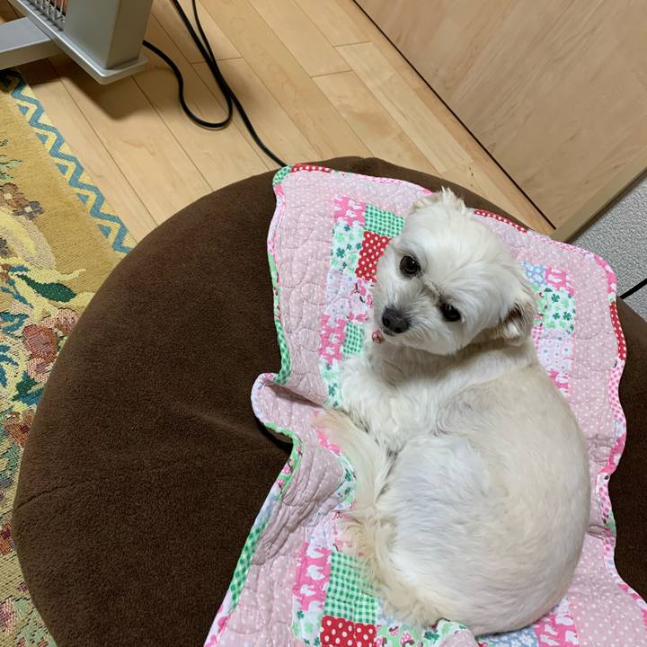 D739438d 7d7e 49d1 99a3 91497434fba6 1620040436194