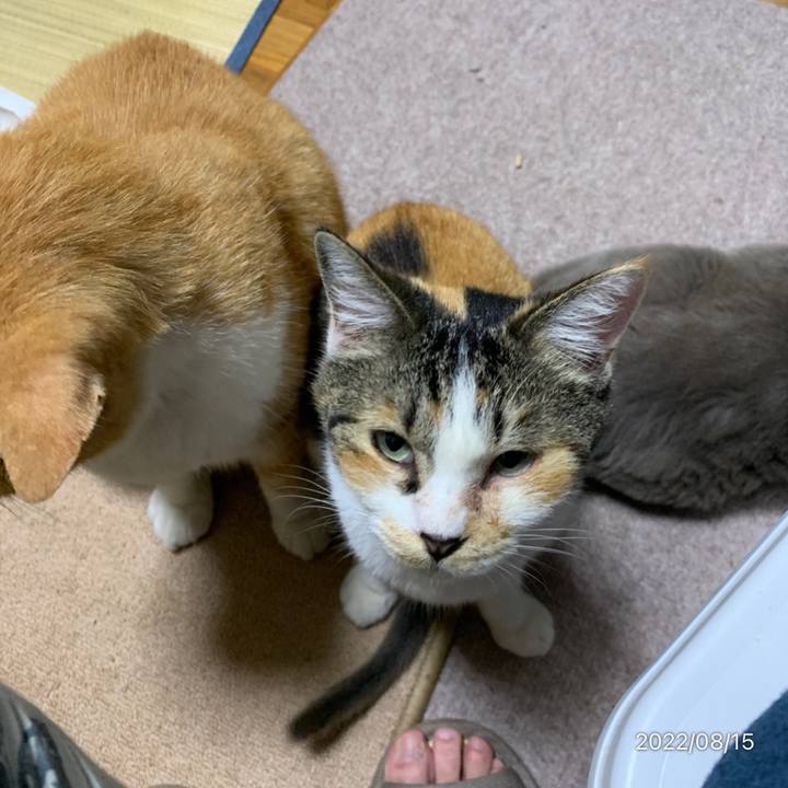 D7395775 062b 4526 8293 77e7390b69aa 1660574823042