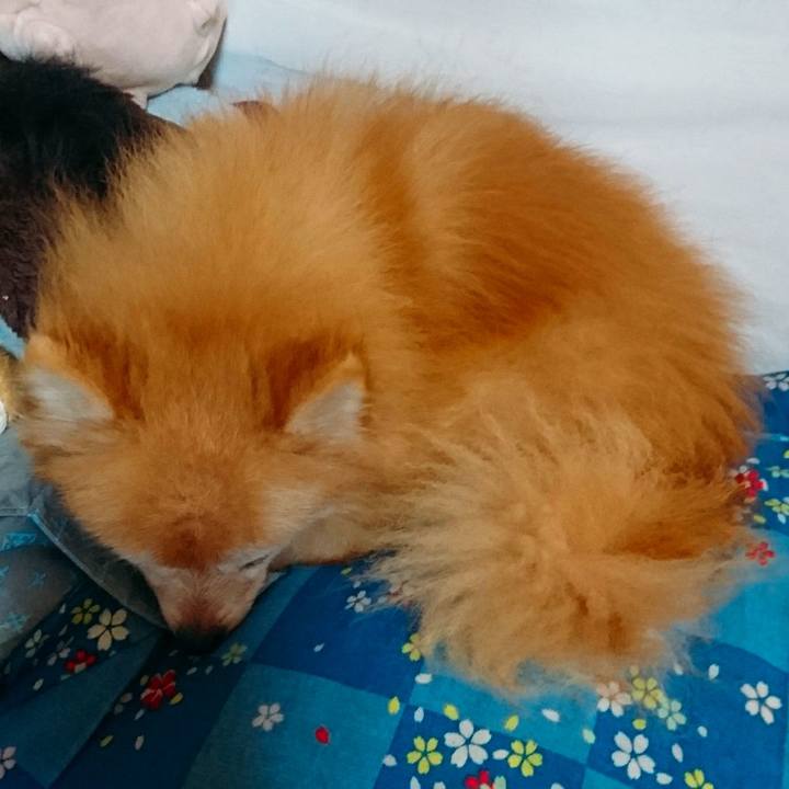 D7396cc0 c5a7 4cb5 87be 986be4e19046 1570665011654