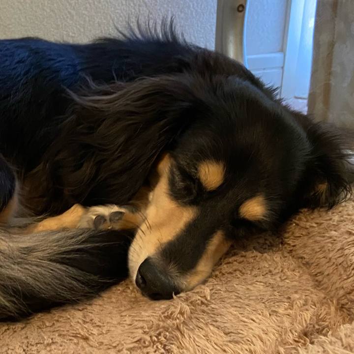 D739749a 09fa 496a baac dcf922ffa20c 1693889730215