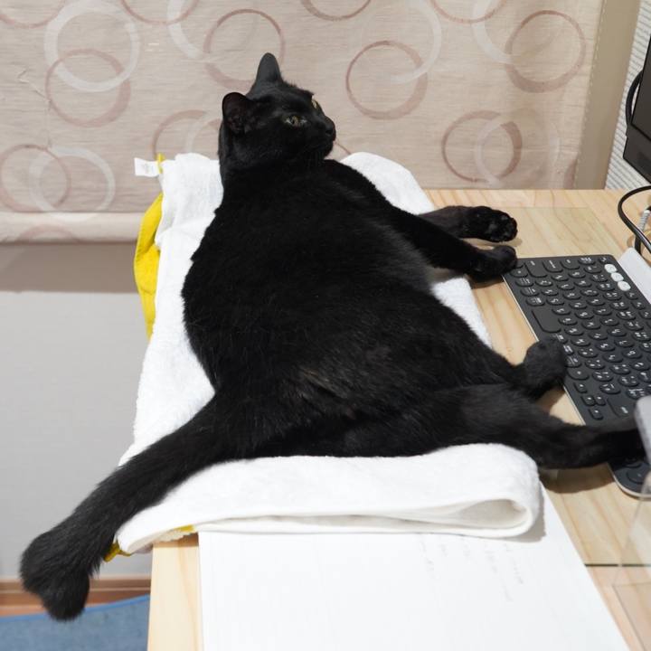 D7397e98 0b30 4a04 9966 66ce0d1c9ef5 1592562320776