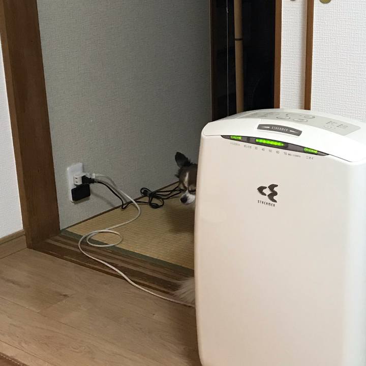 D739b510 6ec1 4b98 affb 76cd70f7ca27 1602946269546