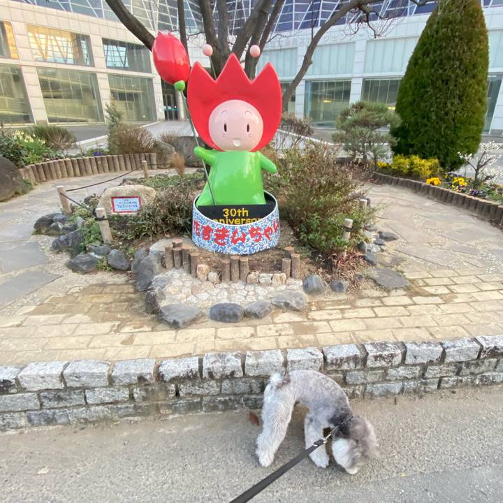 D739ee8d 6dc2 4720 a2de e6f338d53701 1613301596566