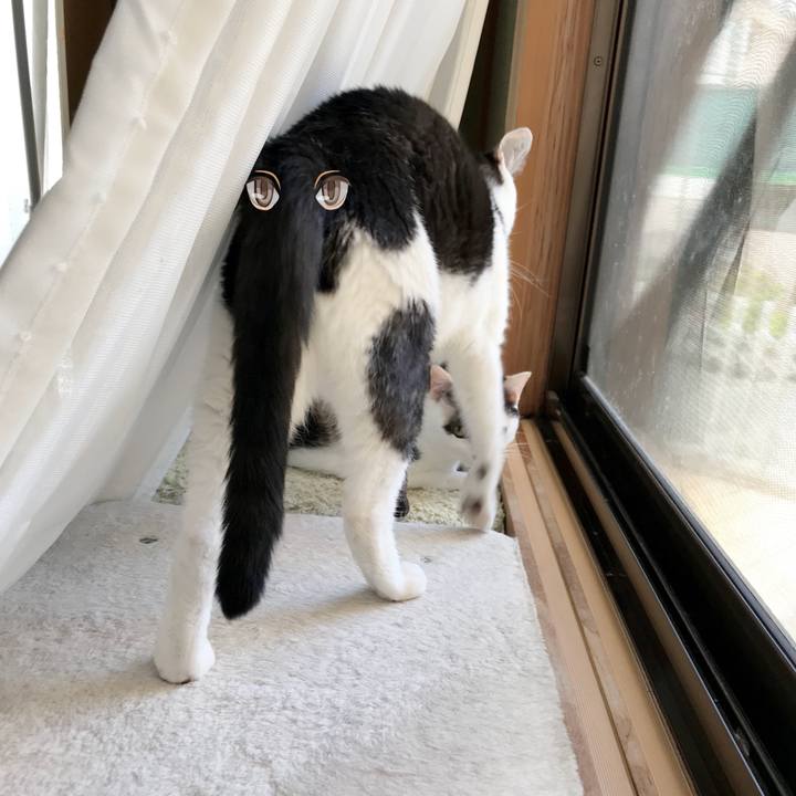 D739fb4a 293c 46dc 9828 83bf8b2065f3 1534171623297