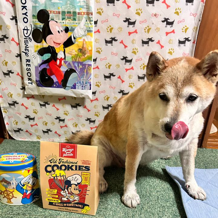 D73a5c19 4198 4d45 beed e93d26ff77f5 1754655138233