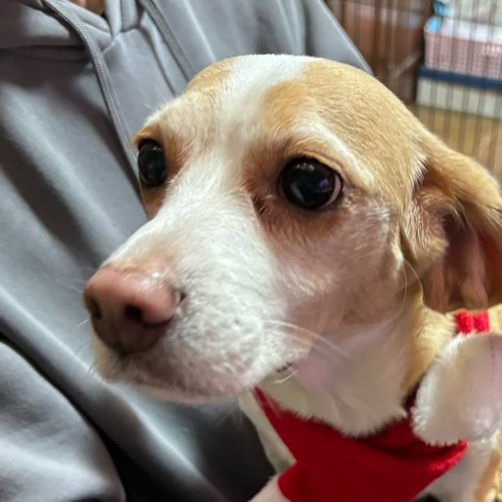 D73a79f4 e98c 42e2 b03e 21b693cb7000 1703293336790