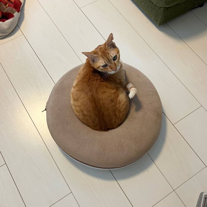 D73a9475 fdac 48f9 97cf 27a7a857970a 1767580525308