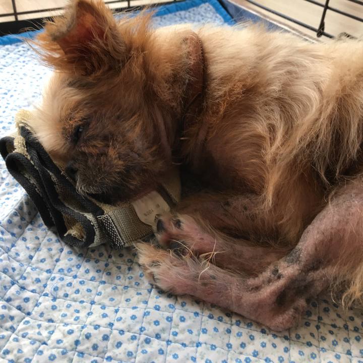 D73aaf64 ffbf 4e90 b7da acc70b8c54f2 1532410560990