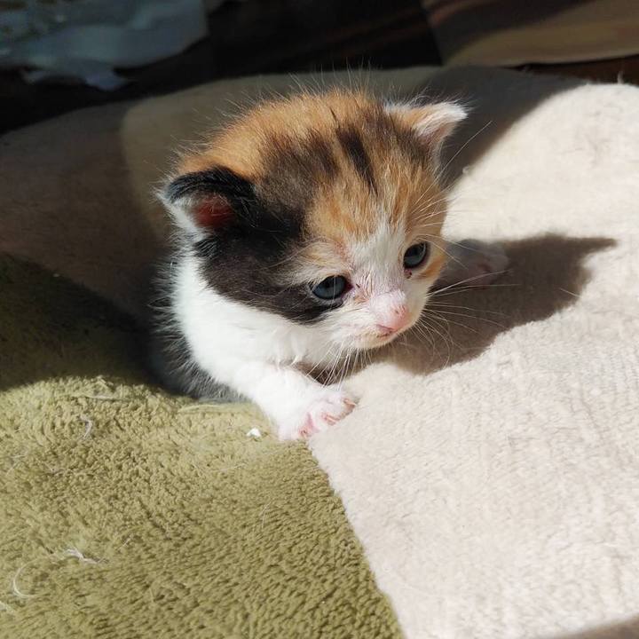 D73ac594 8364 4b04 9887 81b62d7fb69d 1636439945684