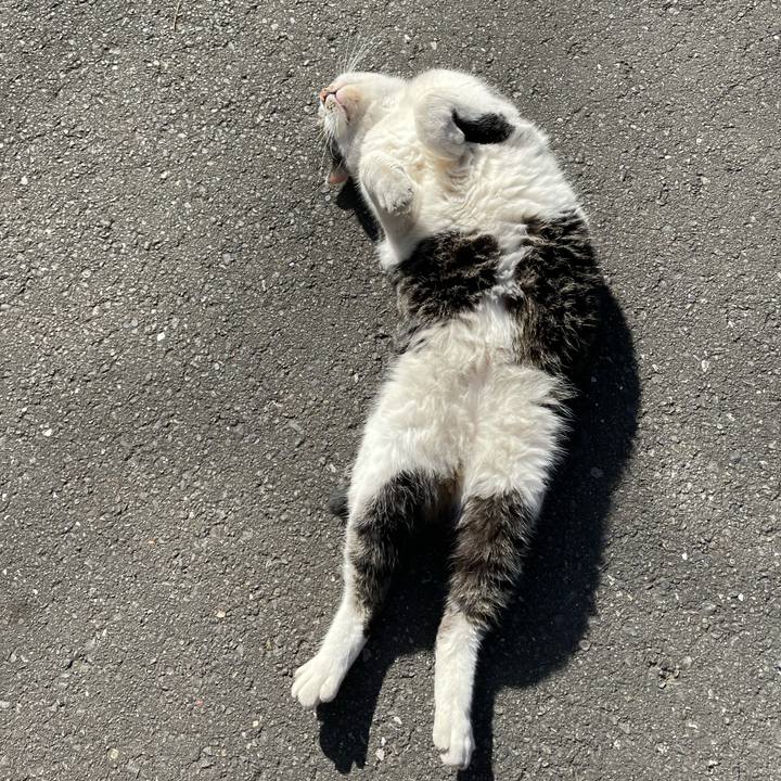 D73b38df 9151 46f3 979c 87cef839dede 1608963183839