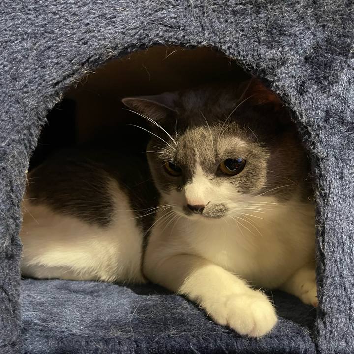 D73b938c 99d3 4f14 bb35 3369bfefeecf 1660560244894