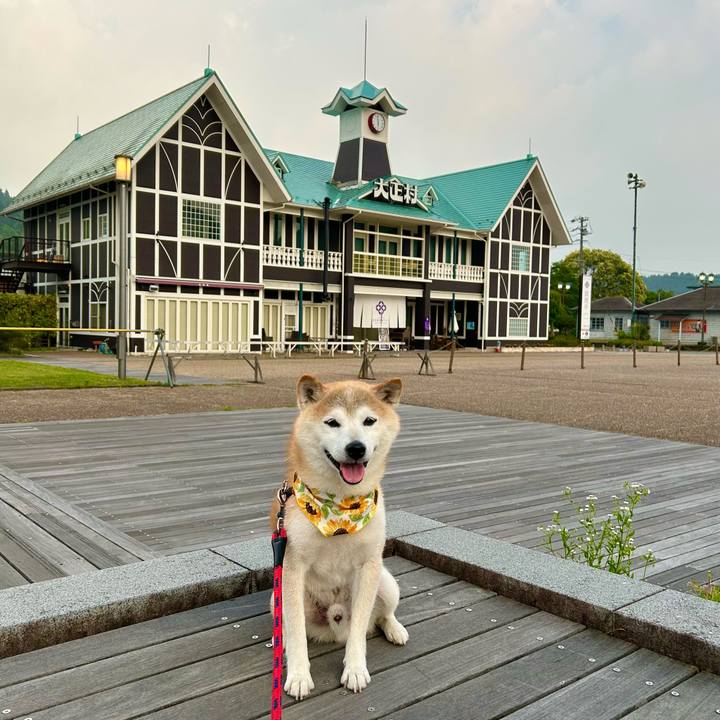 D73baa36 1487 42d8 9927 77e8d2bcaa36 1752053148797