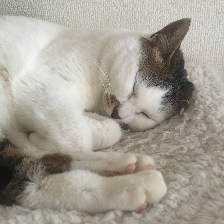 D73be244 9243 4511 90a2 87526a7d01f3 1587182869215