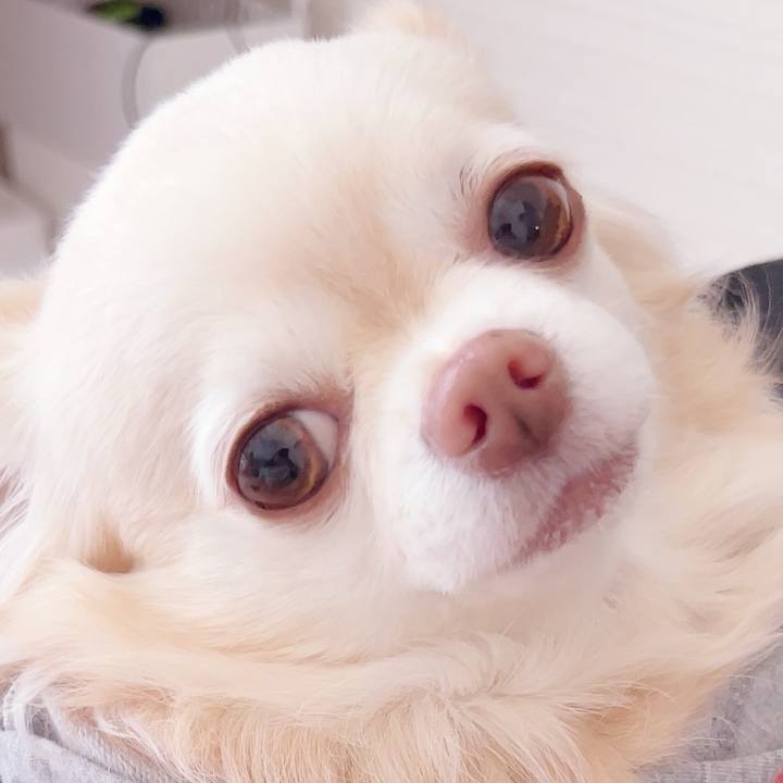 D73be27f db6e 478f b2db a07f86709c78 1748735479487